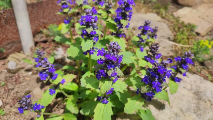 Лунный посевной календарь на 16 июля 2023: что сажать сегодня, советы садоводам и огородникам