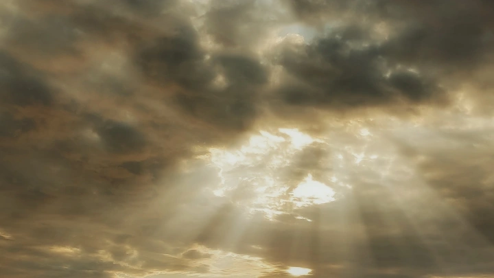 Ученые: Солнечное затмение 2024 года изменило звуки природы