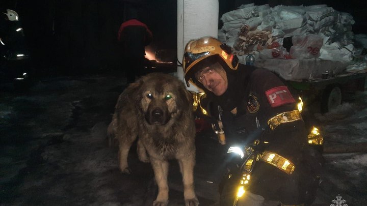 В Муромцево на горящем обувном складе пожарные спасли собаку