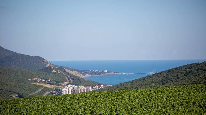 Предприниматель захватил участок в заповеднике Утриш ради открытия кафе