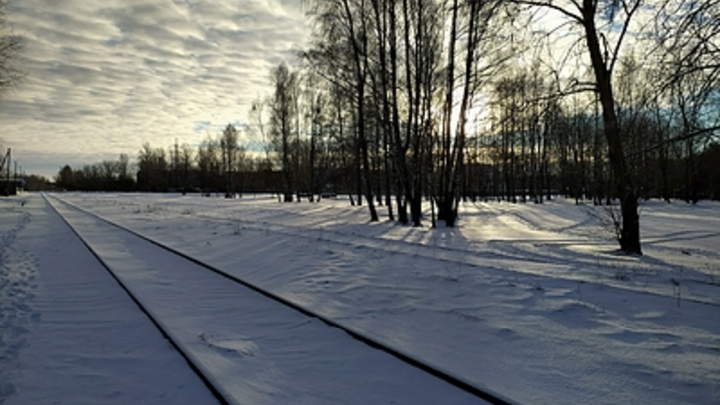 Омбудсмен Подмосковья пояснила, почему не спасли замёрзшего на улице 11-летнего мальчика