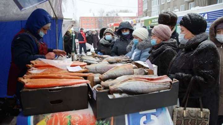 Накануне 8 марта в Кузбассе пройдут сельскохозяйственные ярмарки