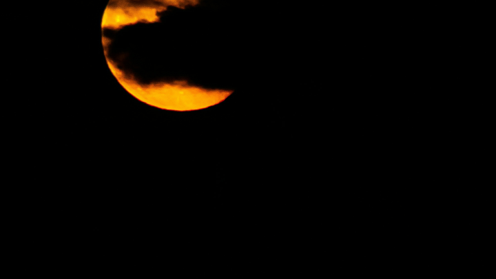 NASA подтвердило тревожный прогноз Хокинга: человечество может погибнуть