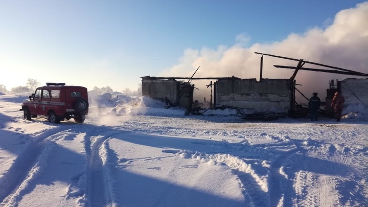 В Новосибирской области 40 телят и две свиньи погибли в пожаре