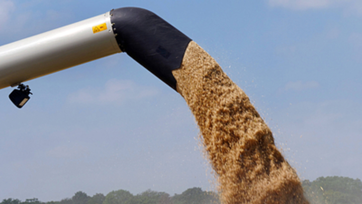 В Мелитополе открыли хлебную компанию для создания госрезерва зерна — Данильченко