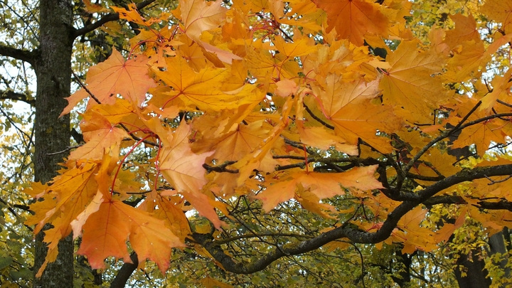 Во Владимире начался отопительный сезон