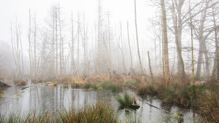 Жителей Подмосковья предупредили об опасности из-за пятидневной жары