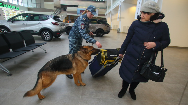 В пермском аэропорту задержали мужчину, находящего в федеральном розыске