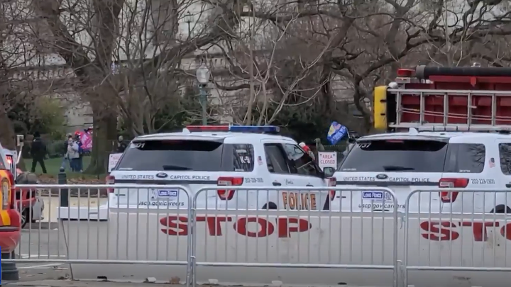 Громкое разоблачение в США: У семей, одурманенных Трампом, предложили изымать детей