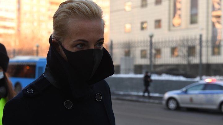 Есть план в два хода: политтехнолог о бегстве Юлии Навальной в Германию
