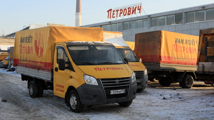 В Петербурге ребёнок покатался на грузовике. У папы больше нет работы