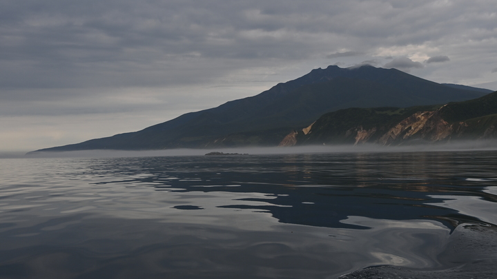 В Финляндии выставили на продажу граничащий с Россией остров