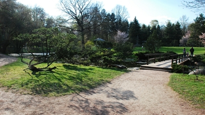 Японский премьер поспешно сбежал ночью в отель из своей резиденции. Одна версия смешнее другой