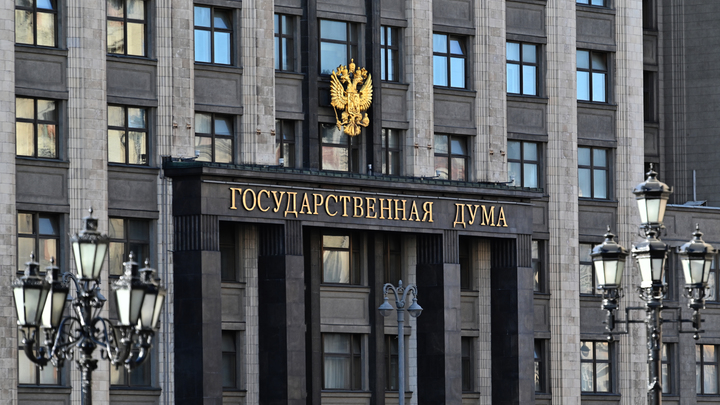 Депутаты Госдумы могут изменить законы после ситуации с Родиной-матерью в Волгограде