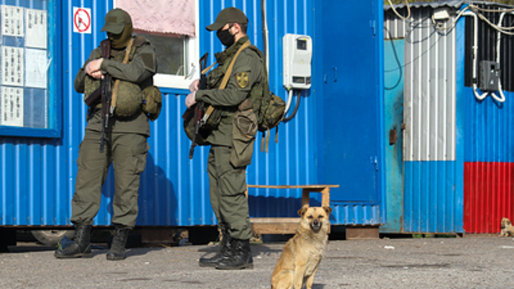 Волонтер Ашифина: Пленных ВСУ, не запятнавших себя преступлениями, начали отпускать