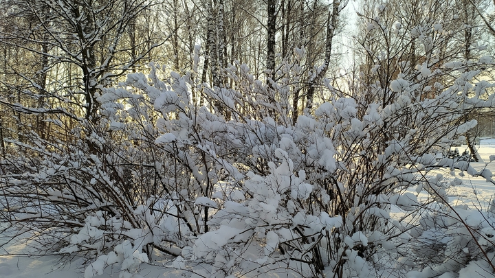 Народные приметы на 28 февраля – день апостола Онисима: что можно и нельзя делать