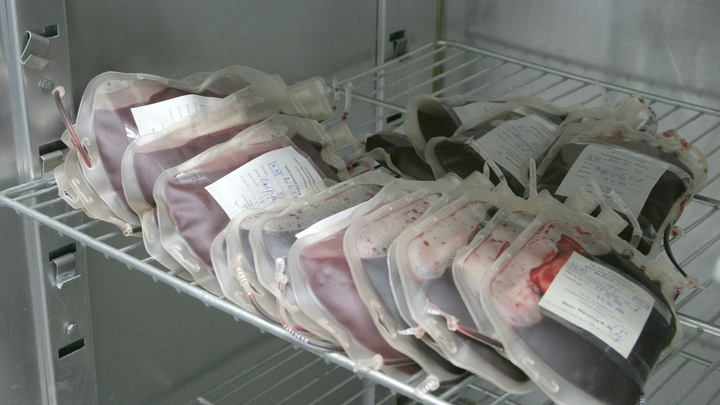 В Кургане обманули донора, готового продать кровь в интернете