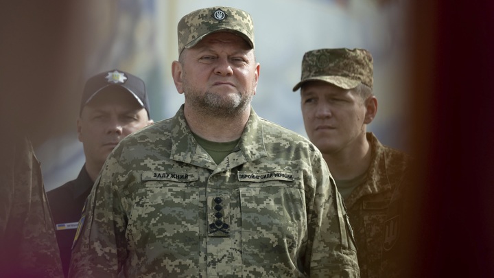 Видео с обращением Залужного вызовет переполох - блогер Колясников