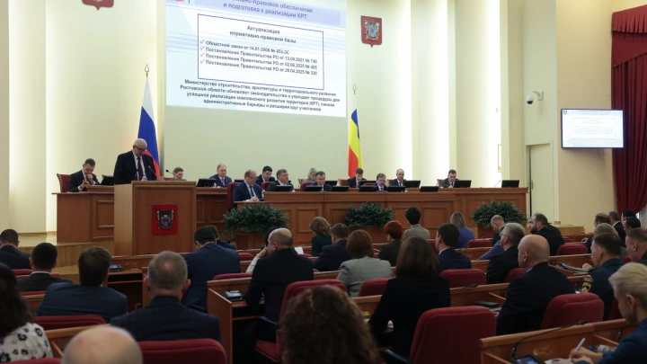 Цифровая зрелость Дона: Какие цели ставит Ростовская область в электронных услугах и поддержке СВО