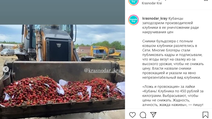 В минсельхозе прокомментировали снимки клубники, которую давят бульдозером
