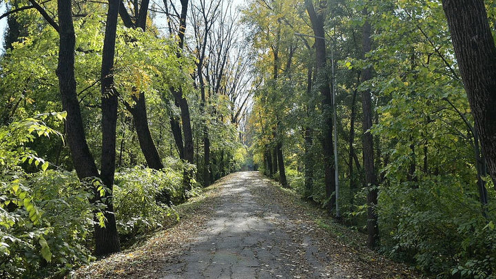 В бюджет Краснодара заложили около 20 млн рублей на благоустройство Тропы здоровья