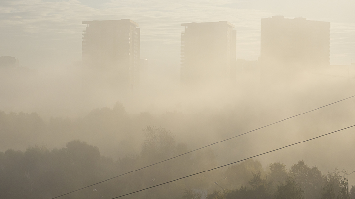 Синоптики и ГИБДД предупредили жителей Кубани о сильных туманах в выходные