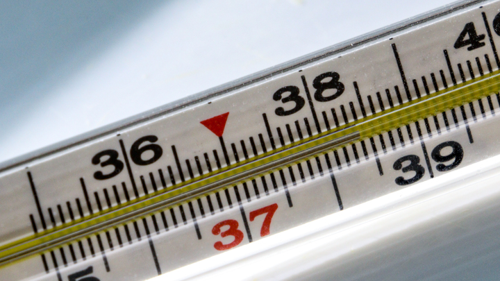 В одном из детских садов Екатеринбурга произошла вспышка скарлатины