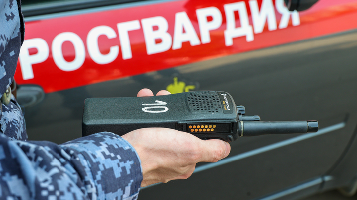 В Кинешме сапёры Росгвардии обезвредили гранату РГД-5 с обломанным запалом