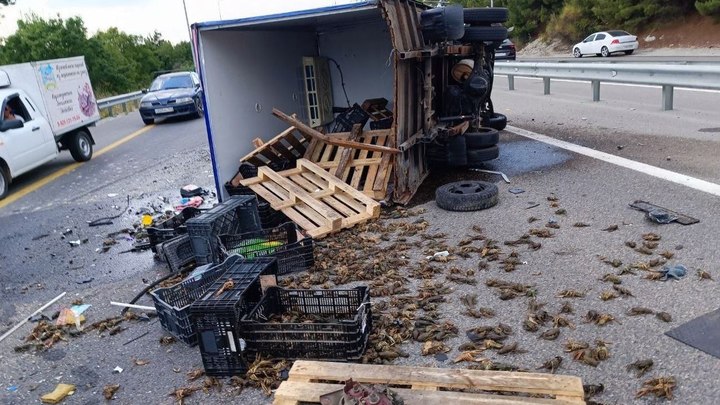 В Геленджике в ДТП попал грузовик, перевозивший живых раков