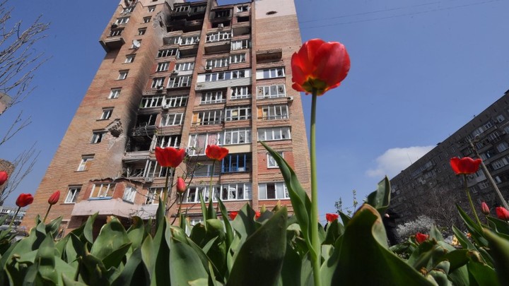 Японец приехал в Мариуполь и сделал открытие: Они ничего не замечают