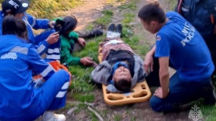 В Республике Алтай мужчина сорвался с кедра при сборе шишек и сломал шею