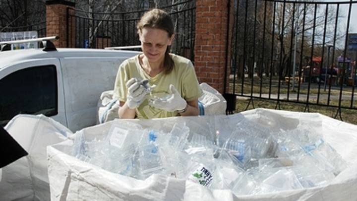 Пластик может попадать в мозг: Учёные провели эксперимент на мышах