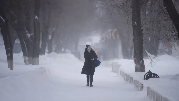 Лукашенко рассказал, что молился о снежной и морозной зиме