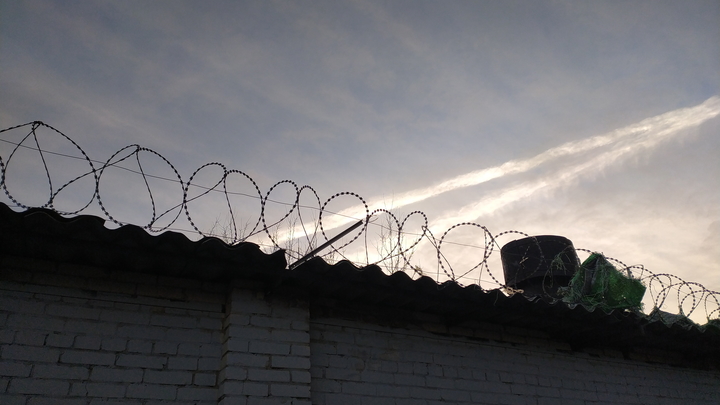 Восьмое уголовное: пожилой эксгибиционист распоясался перед ребенком в Ленобласти