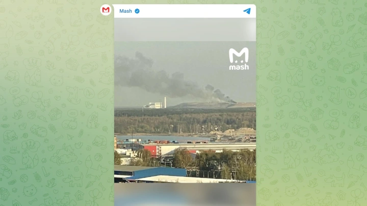 Пожар локализовали на полигоне Тимохово в Подмосковье