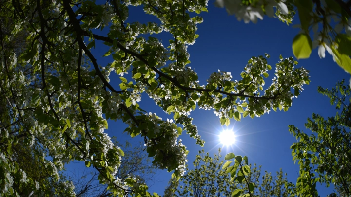 Весной всё сгорит: Прогноз на 2026 год вызвал шок. Синоптики предупредили – аномалии будут