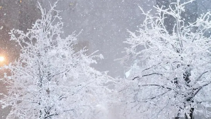 Москвичей предупредили о сильном снегопаде до конца дня 9 января