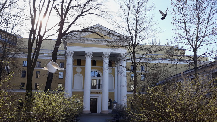 «Золотая коллекция долгов». «Ленфильму» грозят отключить электричество