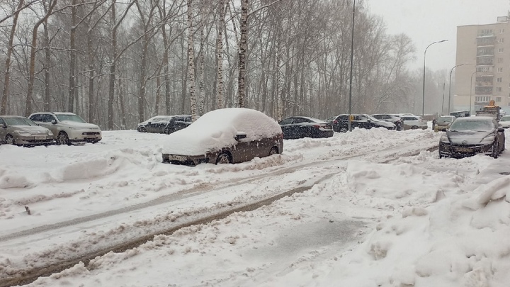 МЧС предупреждает о сильном снегопаде в Нижегородской области