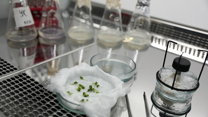 Губернатор Кубани побывал в Анапском сельхозтехникуме