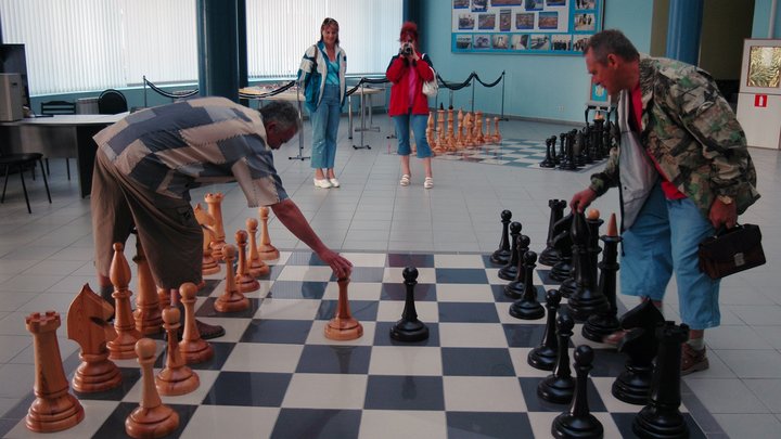 Пик возможностей: Учёные с помощью шахмат вычислили самый продуктивный для мозга возраст