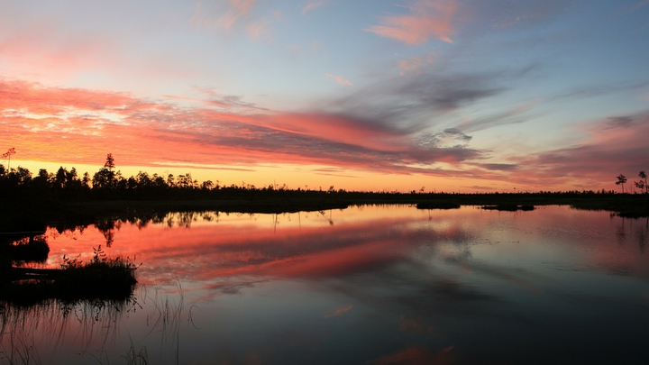 Японию лишили звания Страны восходящего солнца: Железной логике Путина невозможно противостоять