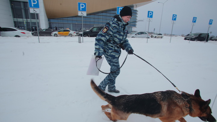 В Санкт-Петербурге за сутки трижды угрожали взрывами в школах