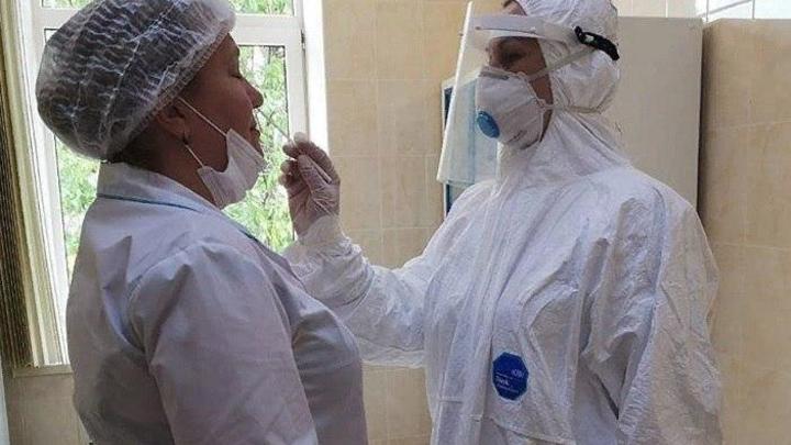 Корона хитрости: Как Covid-19 обманул учёных, разбив их прогнозы