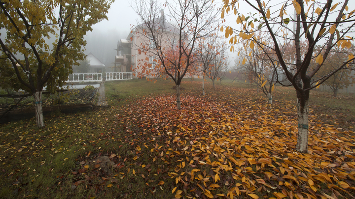 Синоптик рассказал, как долго ждать потепления в Москве
