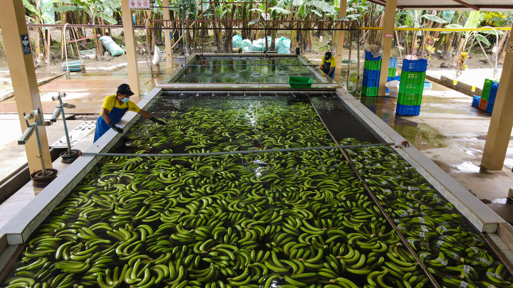 Генерал и олигарх получают по банану: Кушайте - Россия открыла новый фронт