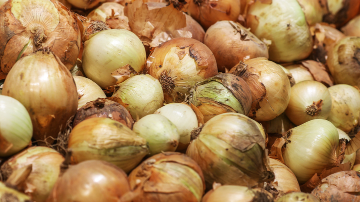 Луковое горе едва не случилось у бизнесмена из Тольятти