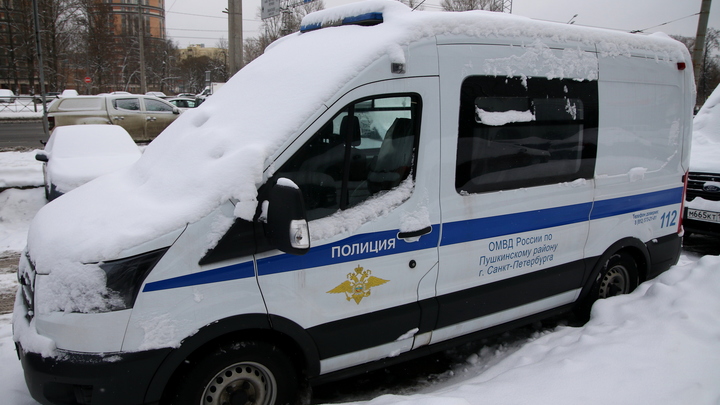 Педофил под Петербургом изнасиловал девочку в заброшенном здании