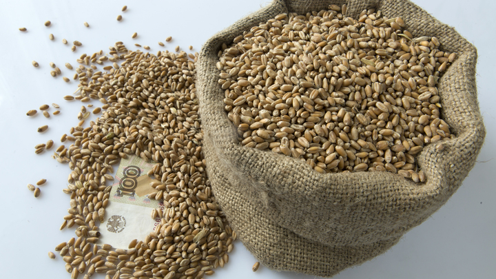 Зерновая сделка вышла на новый виток: Россию попытаются прогнуть?
