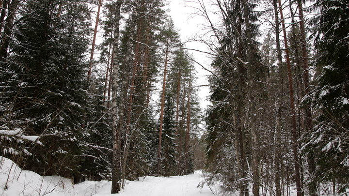 Студенты-экологи в Мелитополе посетили практические занятия в полевых условиях